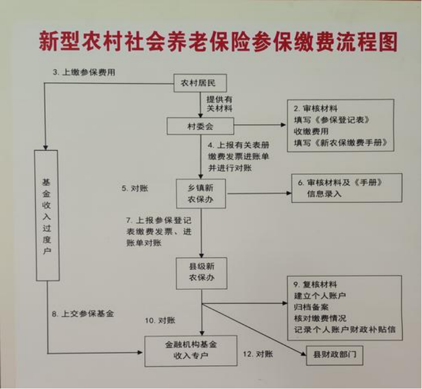 绥化农村医保和社保有什么区别(农村医保跟社保的区别)